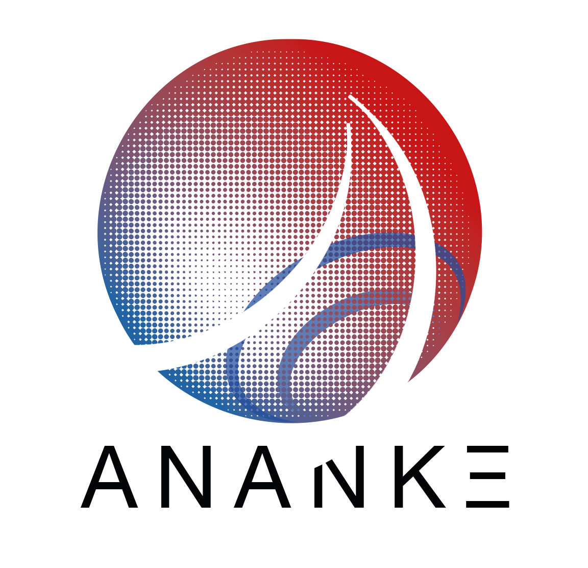 ANANKE | Center for Applied Mathematics – Ecole Polytechnique